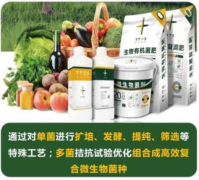 從辣椒加工到菌肥生產，她用五年搶占南方市場！_南方plus_南方+生物有機肥料研發