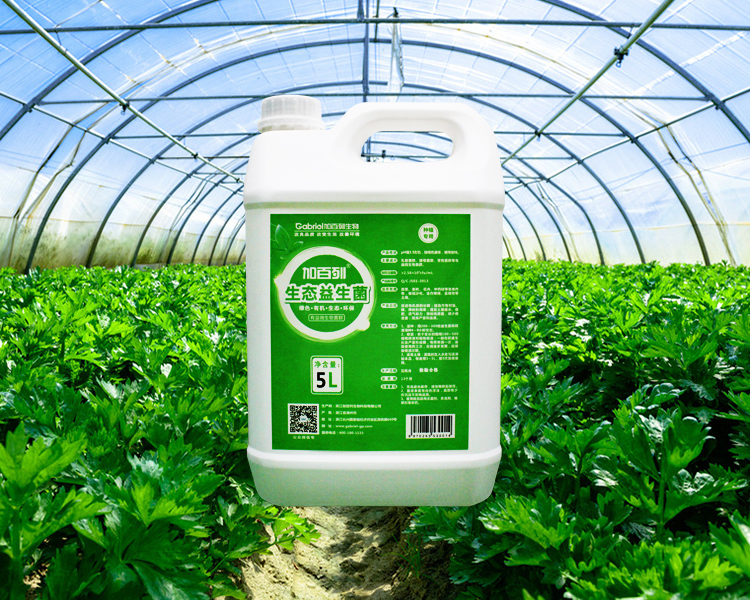 微生物肥料 農(nóng)業(yè)綠色發(fā)展的新引擎