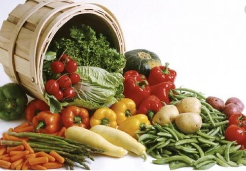 上海寶山至天津?qū)I(yè)冷鏈配送服務(wù)指南，助力餐飲企業(yè)高效運(yùn)營(yíng)