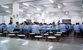 餐飲服務(wù)供應(yīng)信息 品質(zhì)與效率的雙重保障